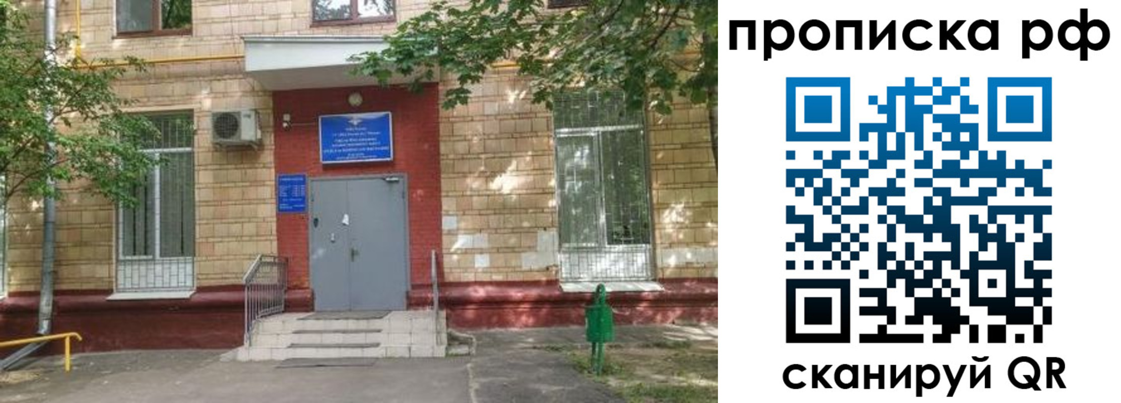 прописка поиск в Луге